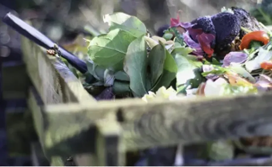 有効堆肥の研究