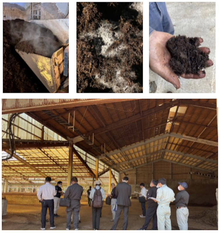 堆肥プロジェクト